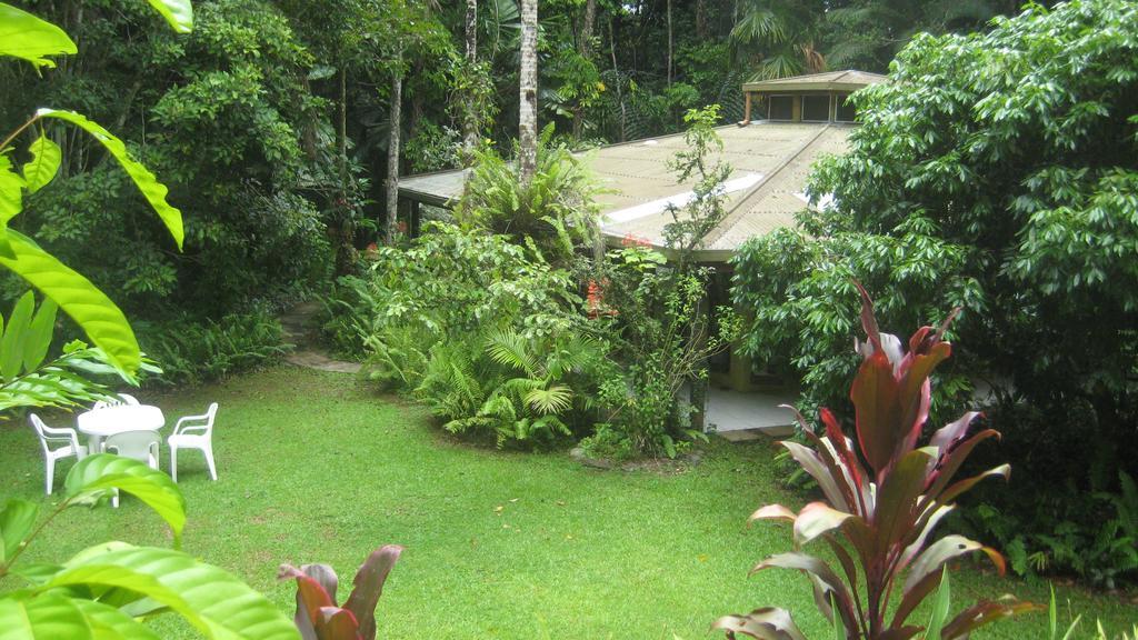 Daintree Deep Forest Lodge Cape Tribulation Exterior photo