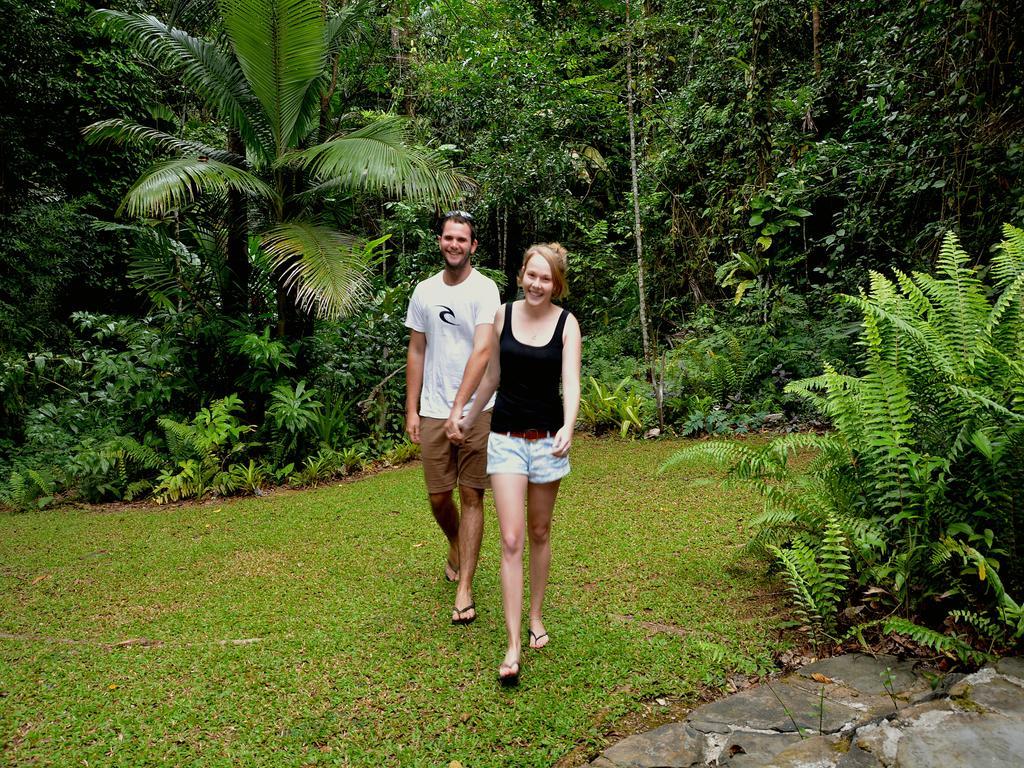 Daintree Deep Forest Lodge Cape Tribulation Exterior photo